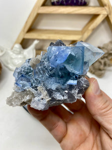 Blue Fluorite Cluster (BFLO 31)