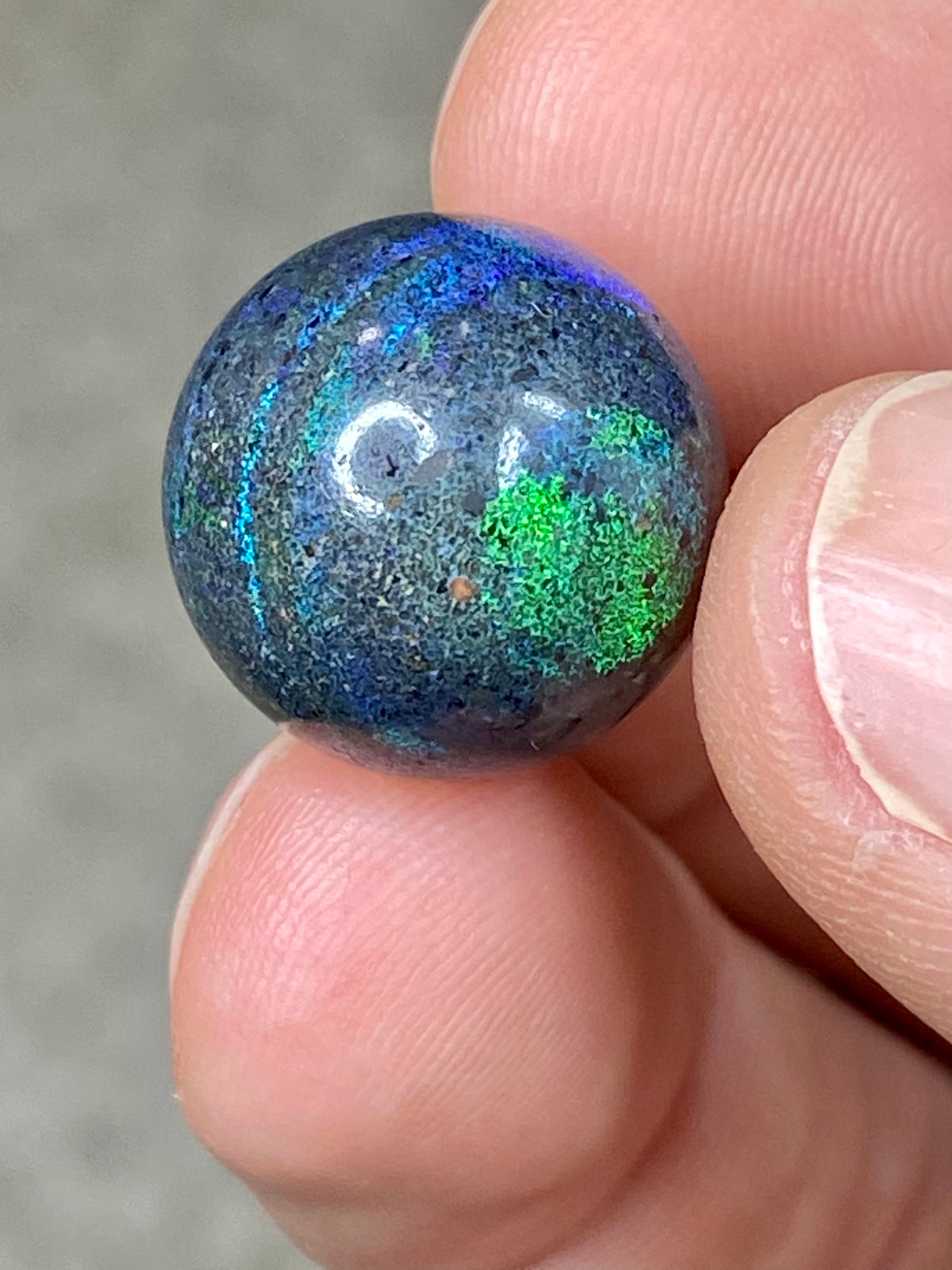 Boulder Opal  (OPAL 50)