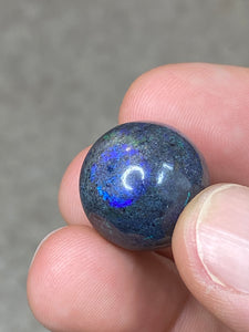 Boulder Opal  (OPAL 52)