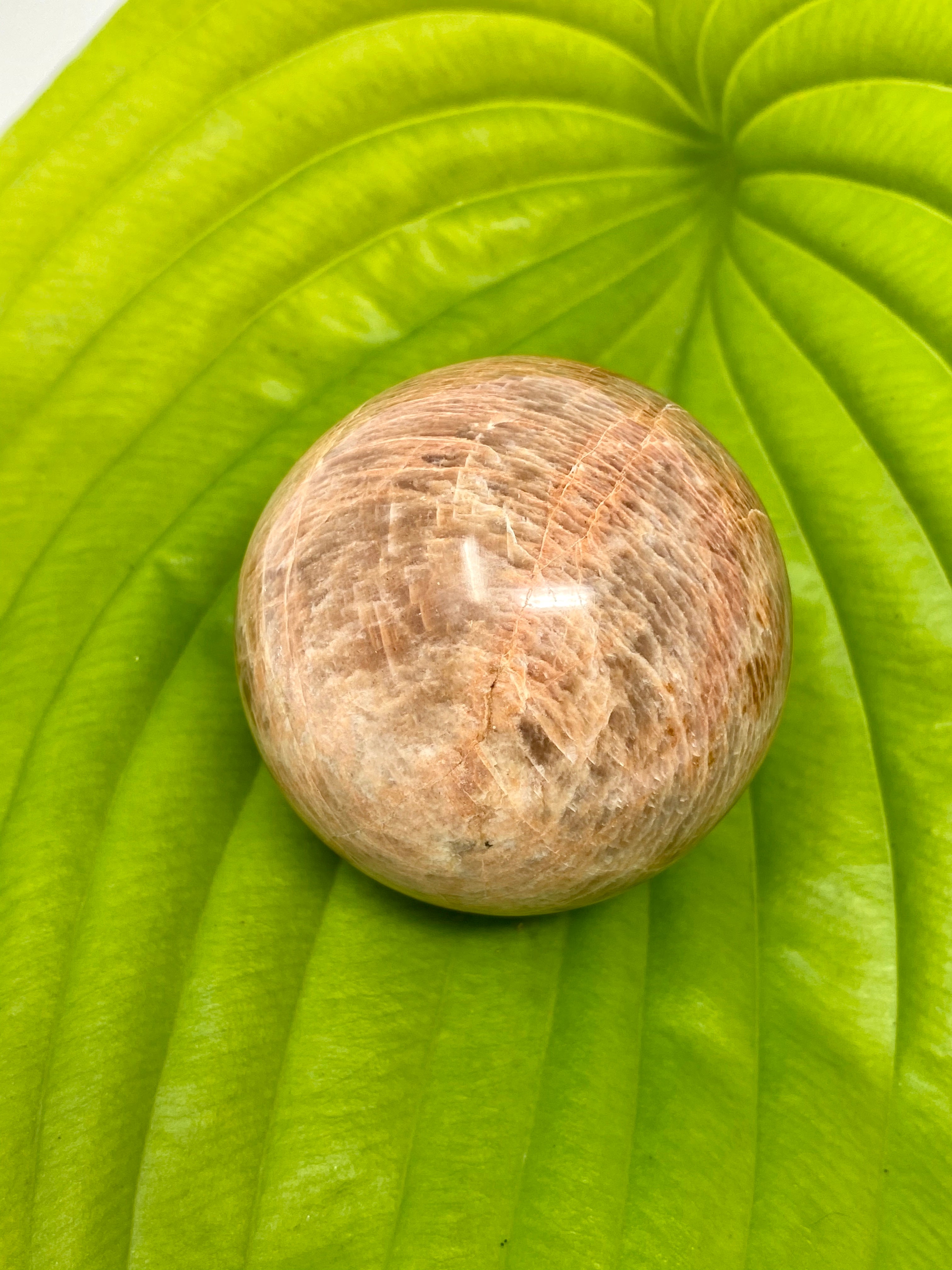 Peach Moonstone Sphere (PM 6)