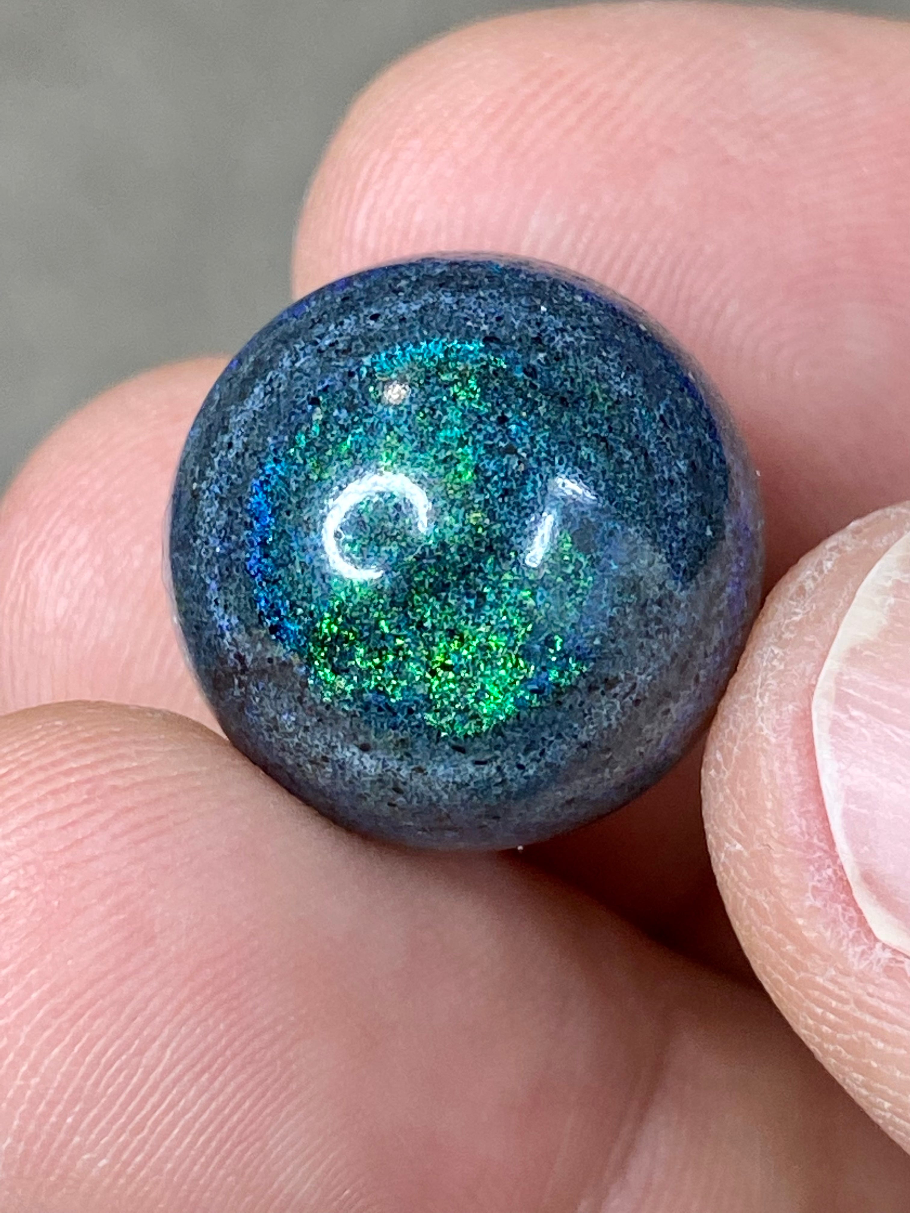 Boulder Opal  (OPAL 51)