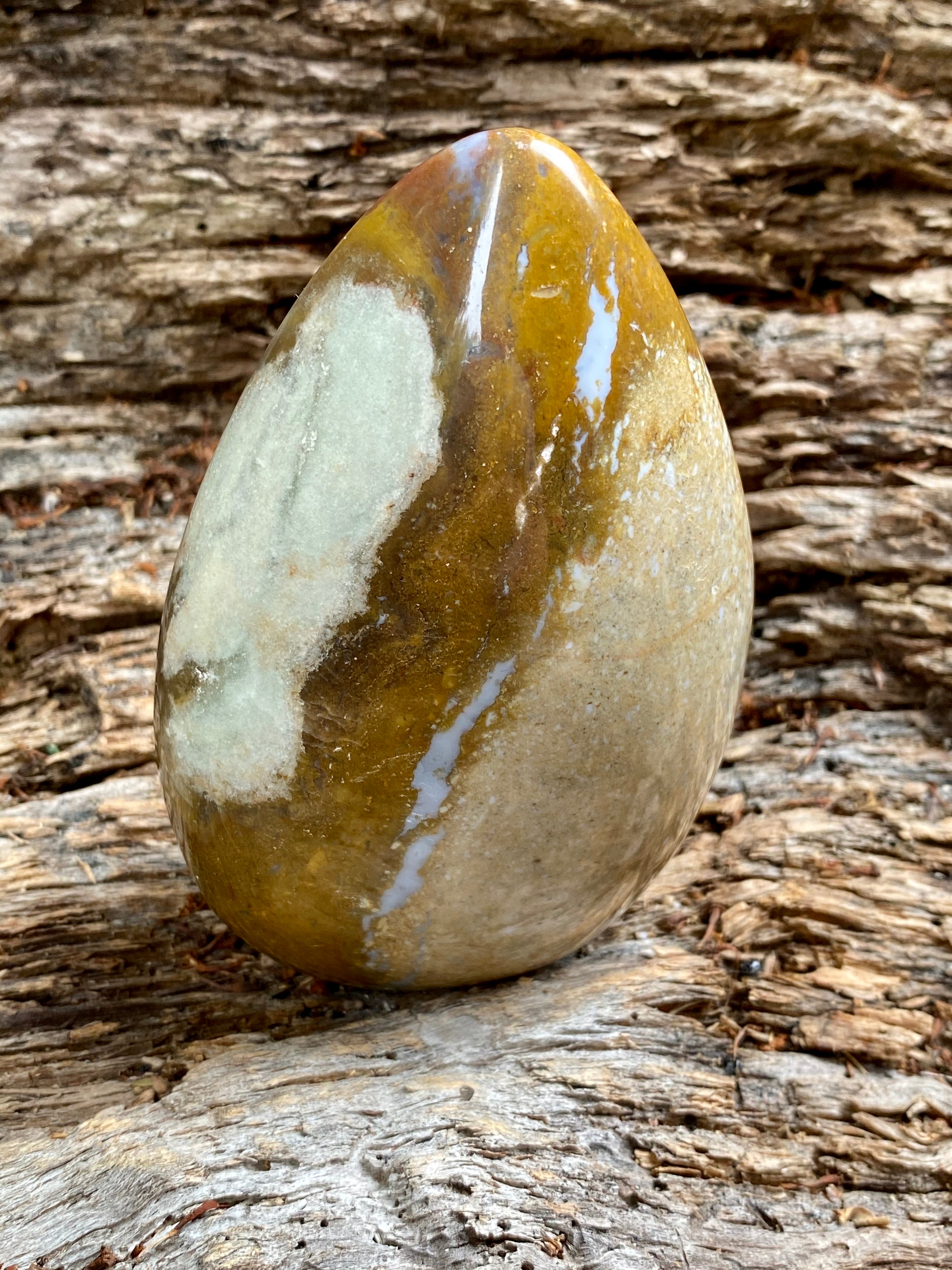 Ocean Jasper Free Form