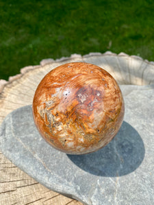 Petrified Wood Sphere (PW 19)